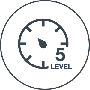 5 speed cycles icon