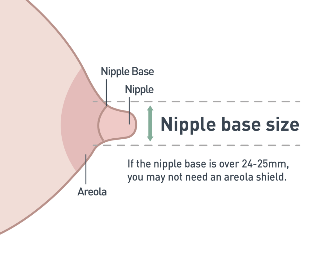 Areola Shield Size