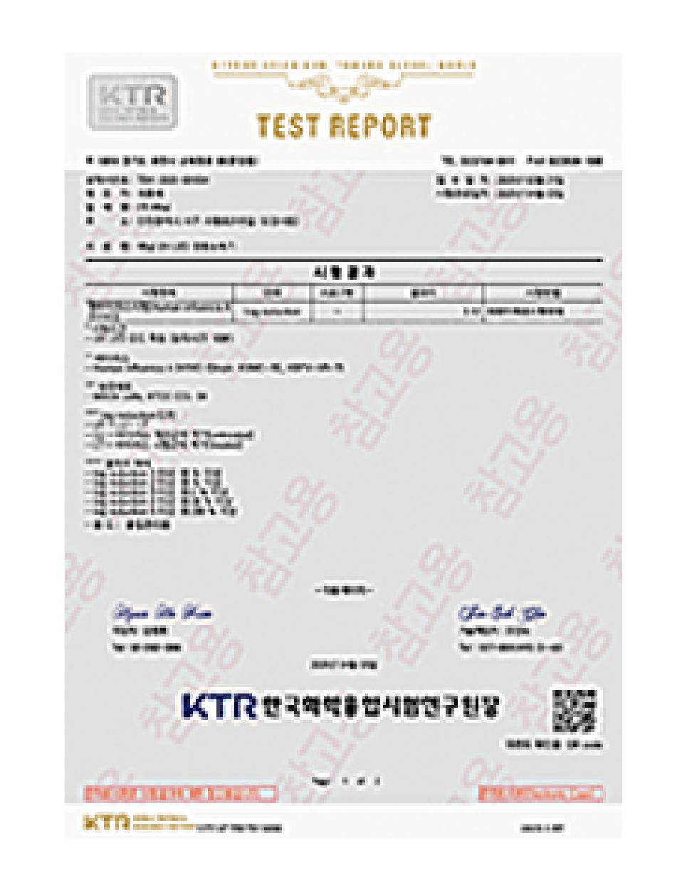 Influenza Test