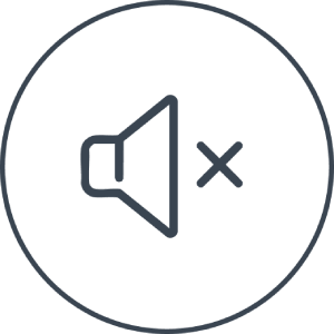 Mute function icon