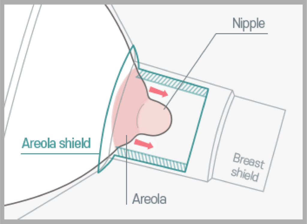 Smaller size areola shield